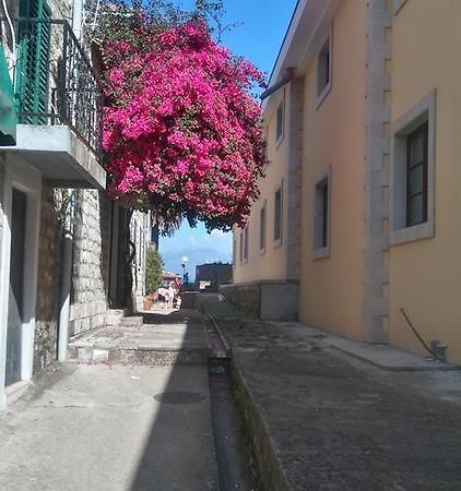 Nataliia Twister Apartment Budva Luaran gambar
