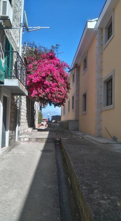 Nataliia Twister Apartment Budva Luaran gambar